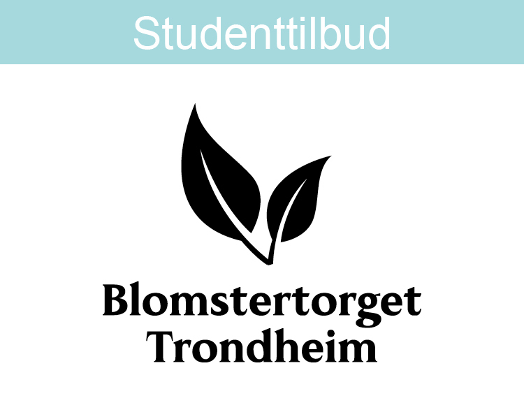 - 10% på ordinære varer