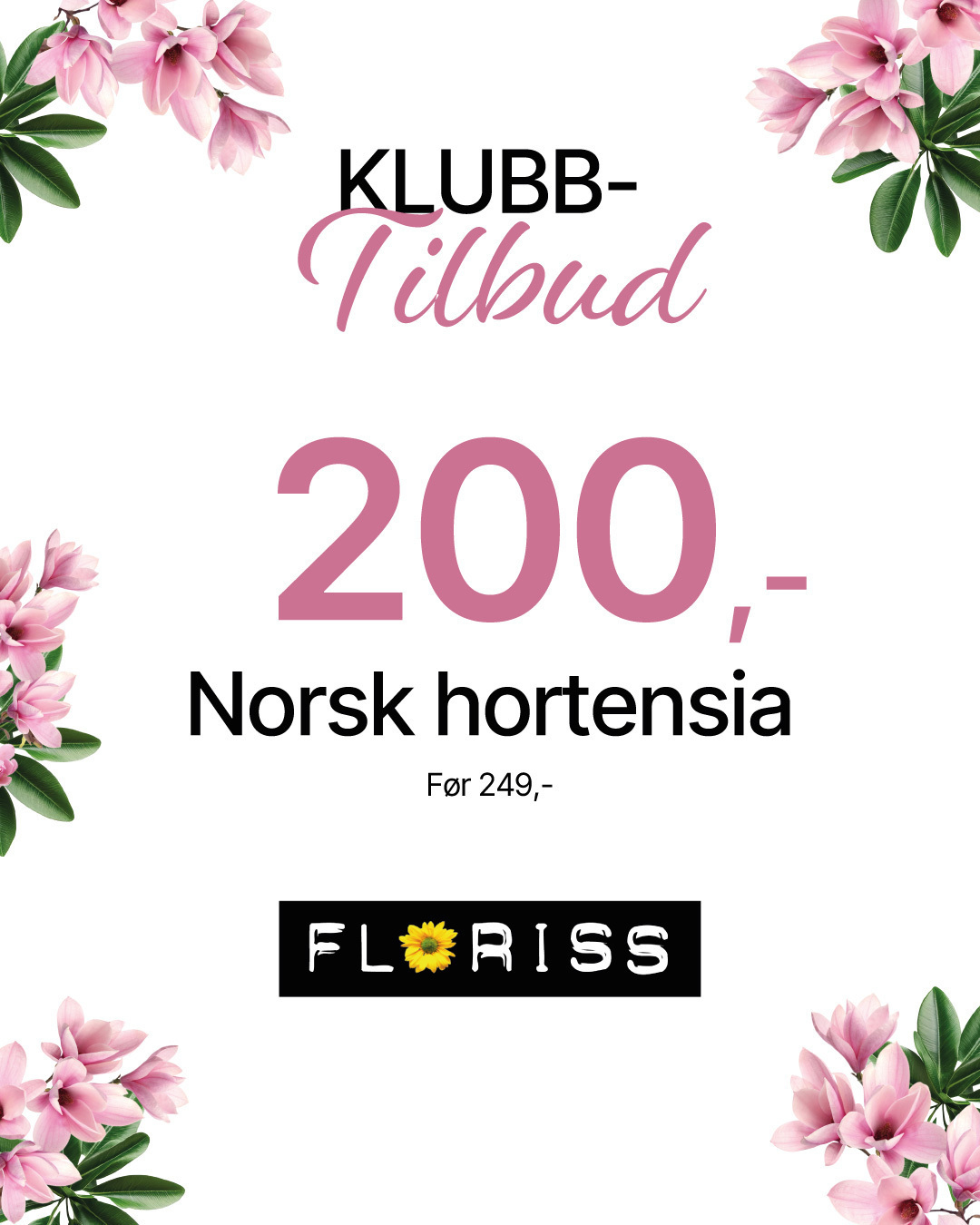 Foriss 200,- hortensia