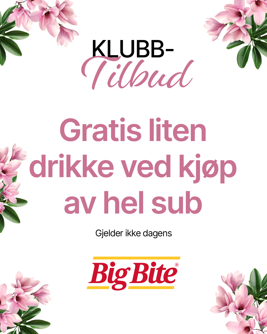 Big Bite Gratis liten drikke v/kjøp av hel sub