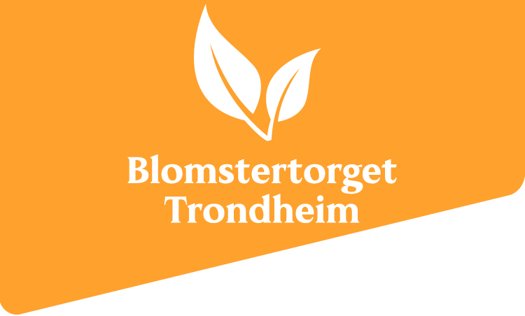 Blomster-torget Trondheim - 20 %	på en valgfri grønnplante