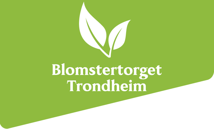 Blomster-torget Trondheim - 20 % på en valgfri plante